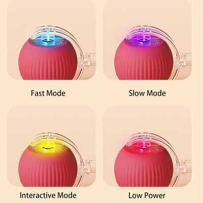 Smart Interactive Pet Toy Ball – Unleash Joyful Play Anytime - 50% OFF