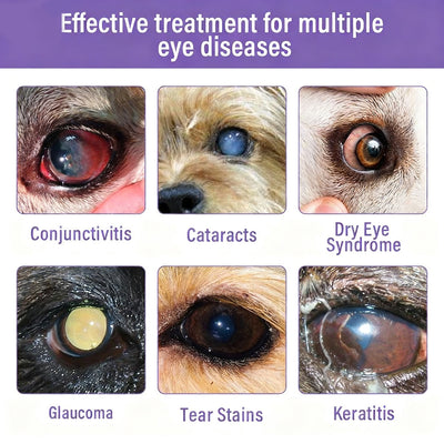Zakdavi NanoCare - Clear Eyes, Happy Pet + 50% OFF